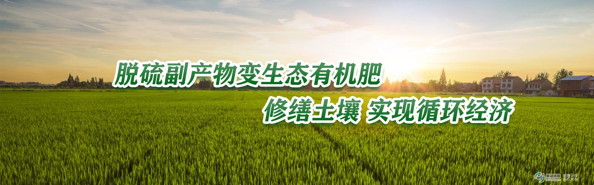 核心技術